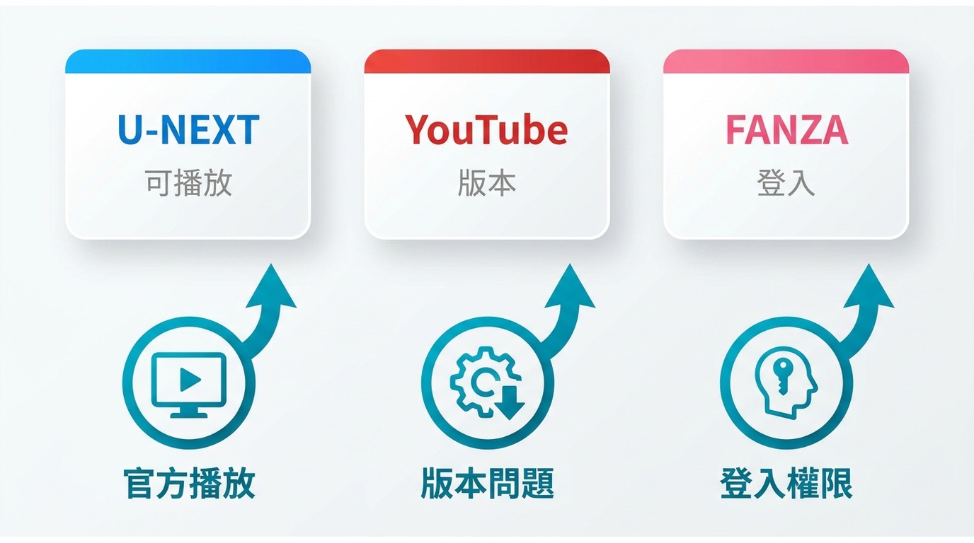 StreamFab排查U-NEXT、YouTube與FANZA的平台檢查項目